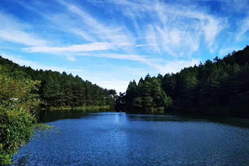 四明山国家森林公园的空气清新,还能私人订制美食盛宴,同时在夜晚