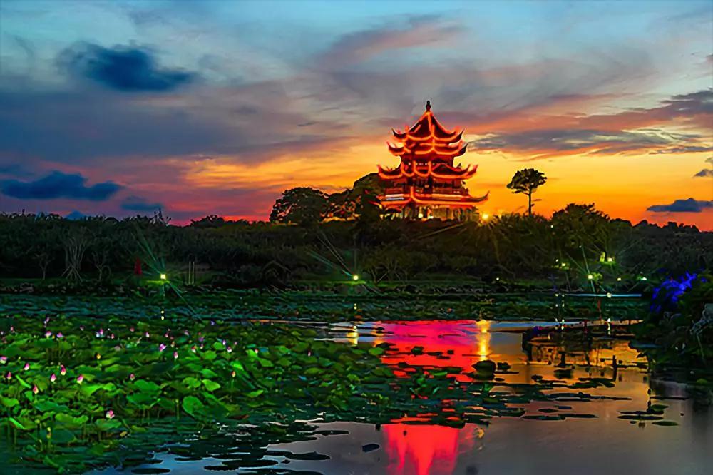 公園位於奉賢區海灣鎮境內,杭州灣北岸,上海四座國家級森林公園之一